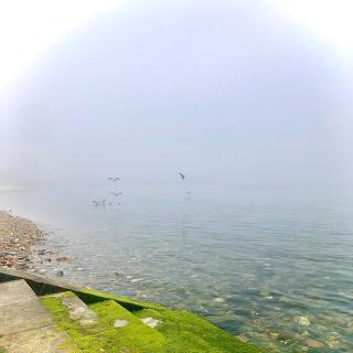 今日晴体感19度海边大雾