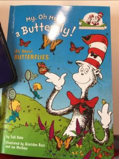 My ，oh my a butterfly all about butterflles 3
