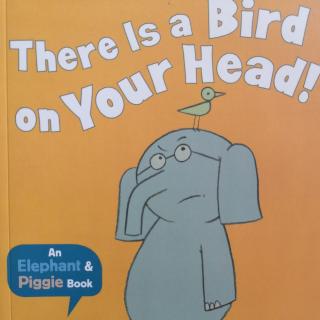 There is a bird on your head