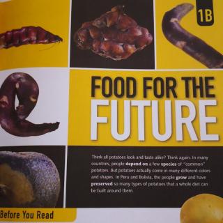 RE2-1B-Food for the future