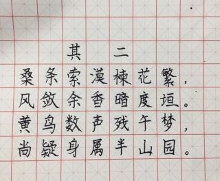 书湖阴先生壁其二宋王安石