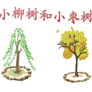 5月18日 晨诵《小柳树和小枣树》