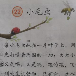 二年级语文下课文22《小毛虫》