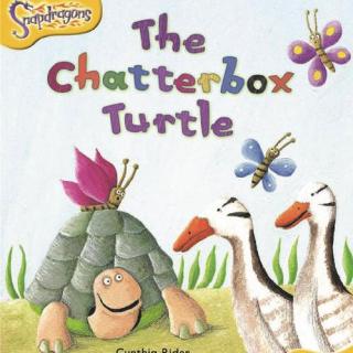 The Chatterbox Turtle