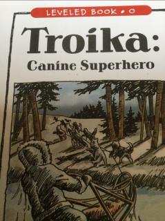 20200518 Troika Canine Superhero