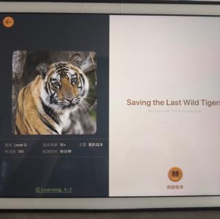 Saving the Last Wild Tigers