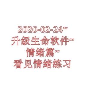 2020-02-24~升级生命软件~情绪篇~看见情绪练习