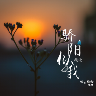 《骄阳似我·上》第二节 顾漫