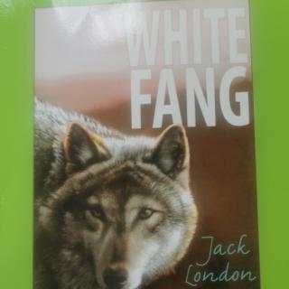 White Fang C4-6