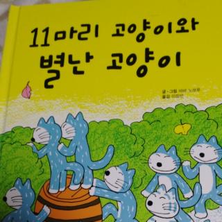 11마리 고양이와 별난 고양이