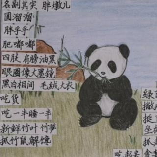 贪吃的大熊猫