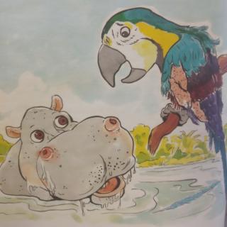 金刚鹦鹉茉莉——汤普森童话故事药书