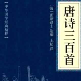 唐诗三百首——子夜吴歌、独坐敬亭山