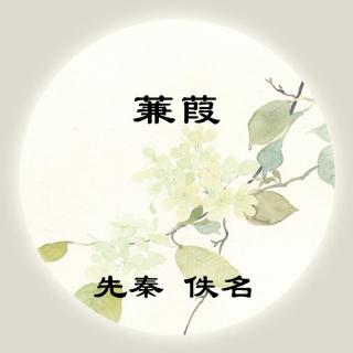 佚名——《蒹葭》