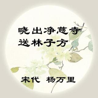 杨万里——《晓出净慈寺送林子方》