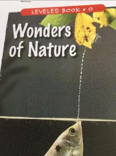20200519 WondersOf Nature