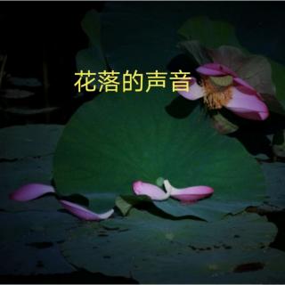 花落的声音/张爱玲