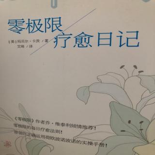 零极限疗愈日记06