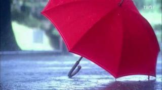 《红色的小雨伞》