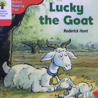 Lucky the Goat