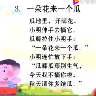 小班（三）3.《一朵花来一个瓜》