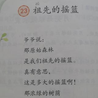 二年级语文下课文23《祖先的摇篮》