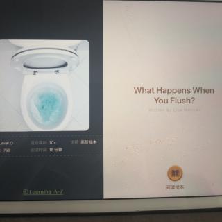 What Happens When you Flush?