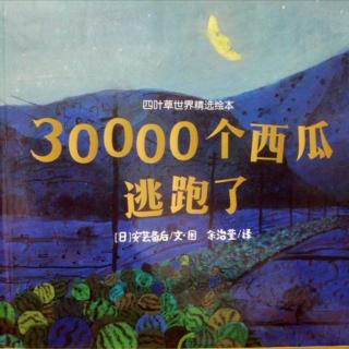 30000个西瓜逃跑了