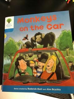 monkeys on the car