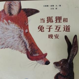 园长妈妈睡前故事：《当狐狸和兔子互道晚安》