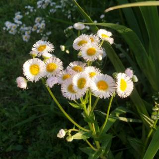 面朝大海，春暖花开