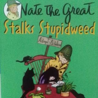 Nate the Great and the Stalks Stupidweed