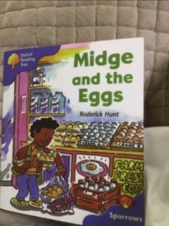 Elly-Midge and the Eggs-0521