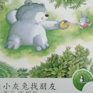 小灰兔找朋友