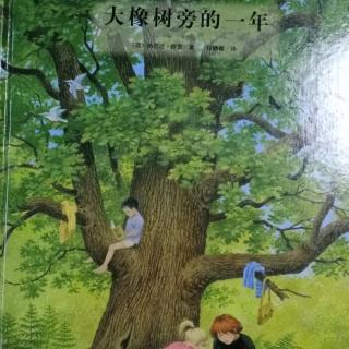 大橡树旁的一年