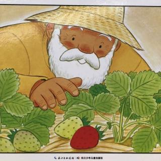 绘本故事《善平爷爷的草莓》——燕子老师