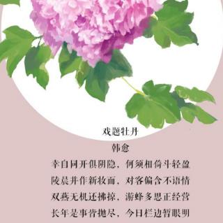 诗词打卡第52天戏题牡丹