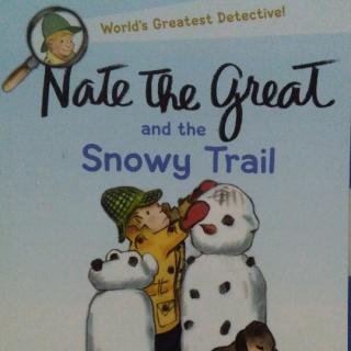 Nate the Great and the Snowy Trail