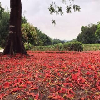 野松作品《火焰，在水之上》