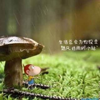 《墨菲定律》