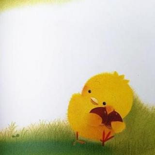 睡前故事︱小鸡球球和向日葵