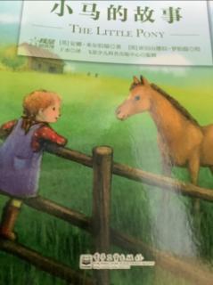 小马的故事🐎