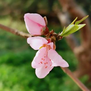 冲压件厂—张秋萍