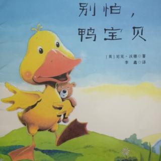 《别怕，鸭宝贝》