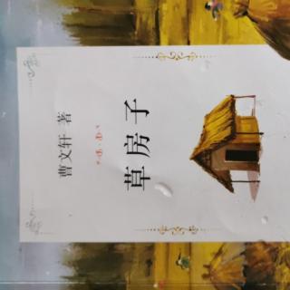 草房子之细马（4）