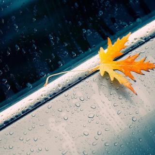 朵朵诵读《雨的四季》作者  刘湛秋