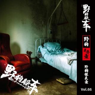 野狗探灵录Vol.66 - 真实事件簿