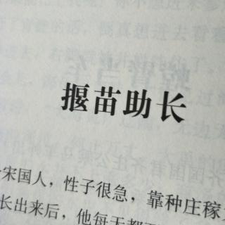 12.《堰苗助长》