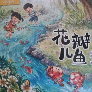 红气球🎈～花瓣鱼🐠～木鱼声声