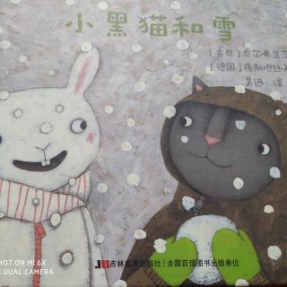 ✨爱宝宝晚安故事✨《小黑猫和雪》